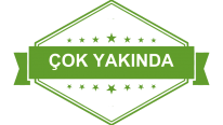 Merkez Şube